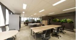 Mapletree Anson (D2), Office #536053091